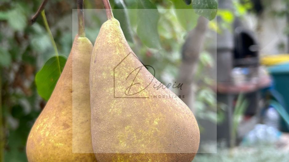 Vila de vanzare in Tunari I Gata de mutat I 4 camere I 5 parcari - Poză 48