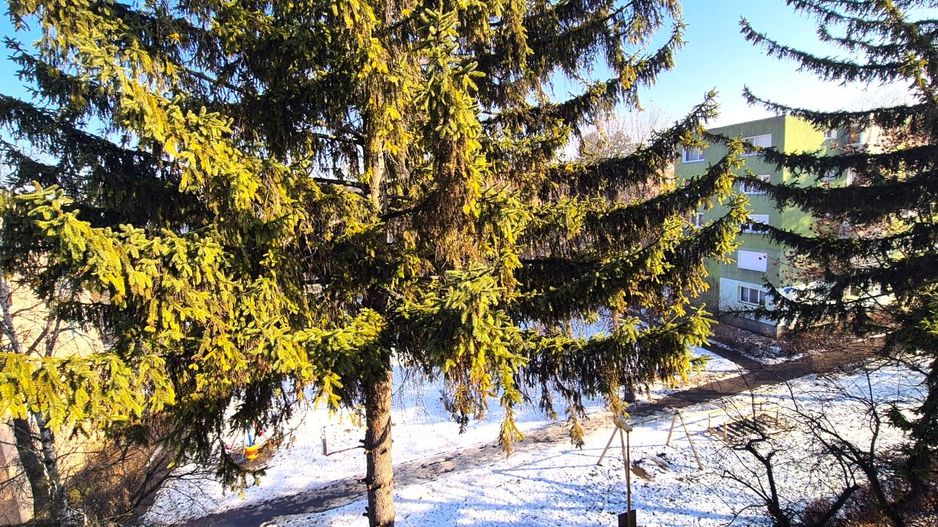 Comision 0%. Ideal pentru un cuplu, toate facilitatile în apropiere - Poză 20