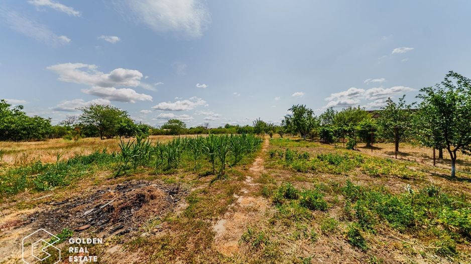 Casa foarte spatioasa cu gradina si gospodarie, Santana - Poză 17