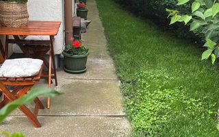 Apartament 3 camere | Gradina | Parcare | Renovat | Selimbar - Poză 13