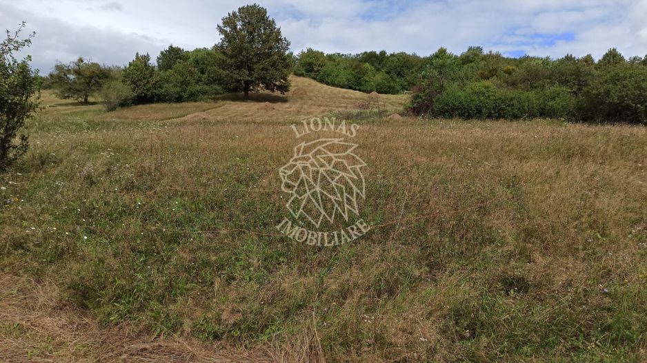 Teren 5200 mp-ideal cabane, case de vacante, agricultura-Livezile - Poză 2