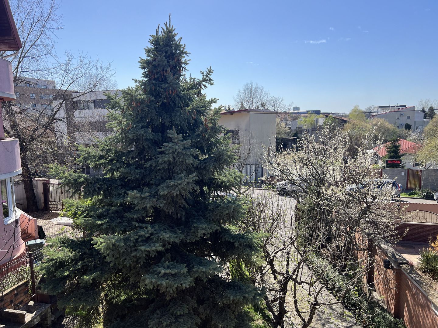 Vila superba Baneasa - Dobrogeanu Gherea - Poză 22