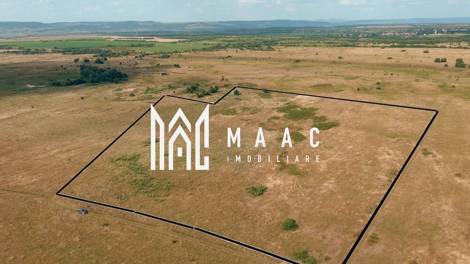 Teren intravilan | 100.000 mp | Valea Avrigului - Poză 2