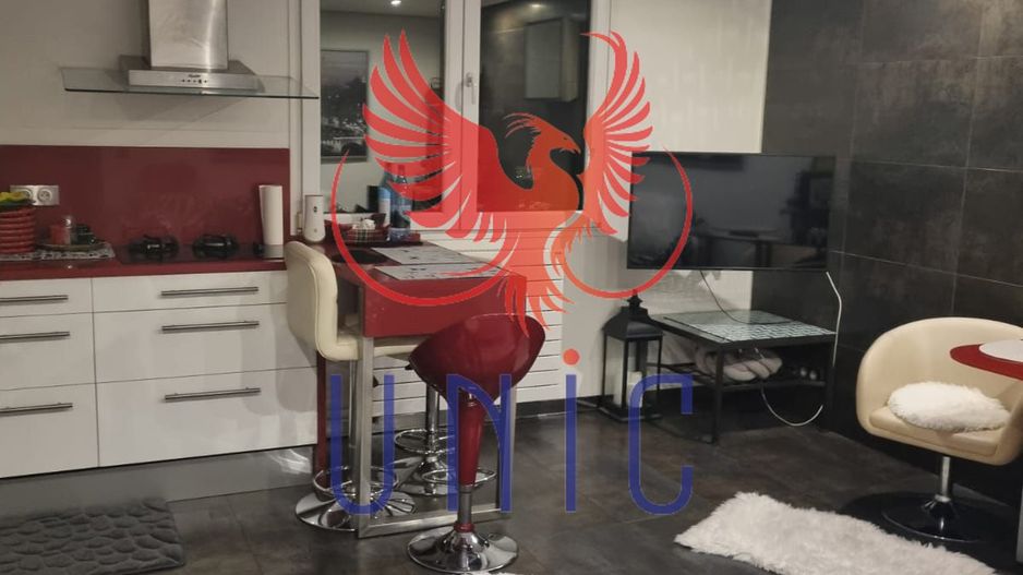 Apartament 2 camere-Rovine - Poză 4