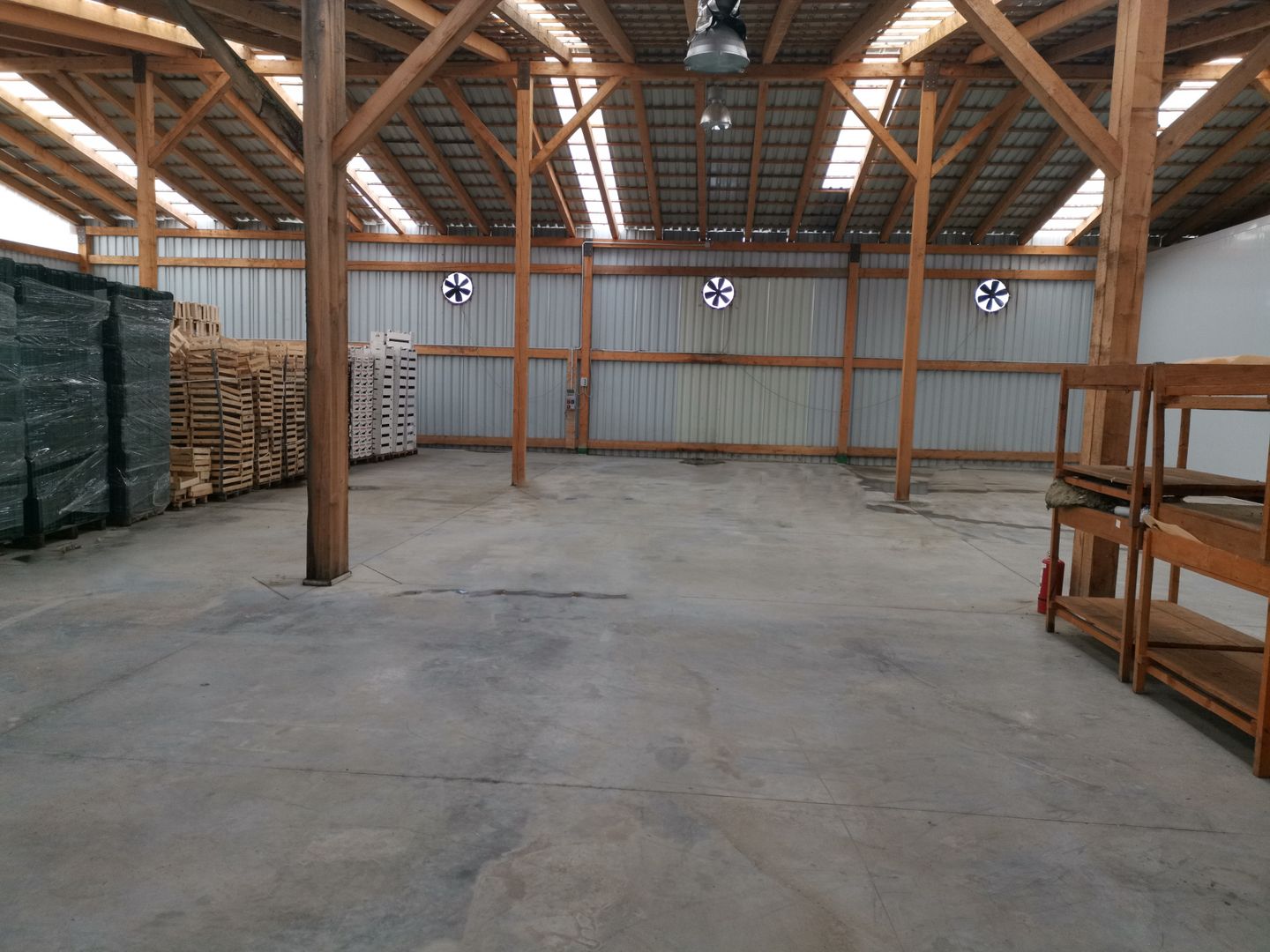 Ferma pomicola cu teren livada 270 ha - Timis - Poză 15