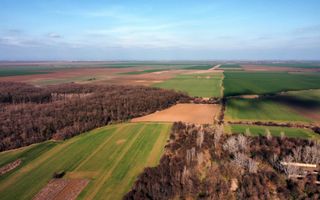 Ferma si livada de meri in judetul Ilfov - Poză 26