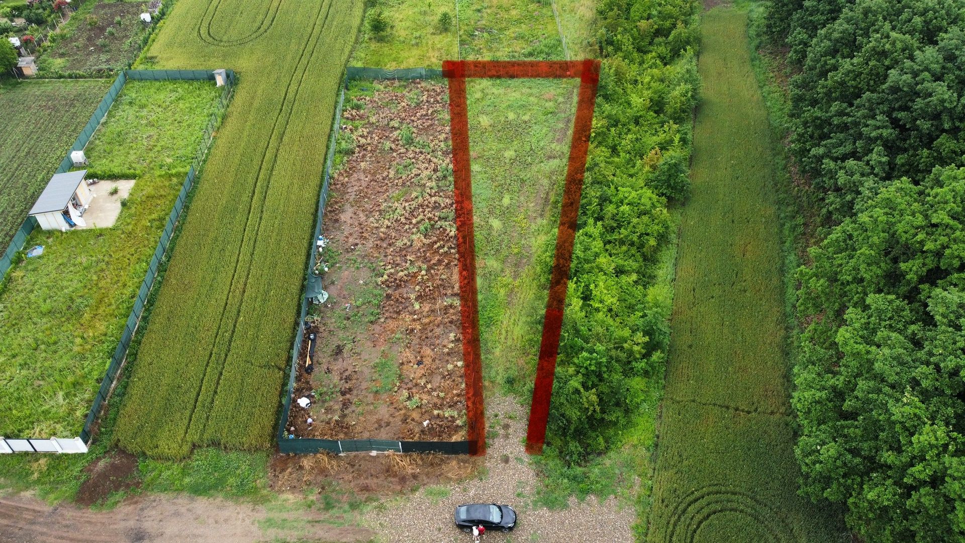 Teren superb Moara Vlasiei - langa padure (COMISION ZERO) - Poză 3