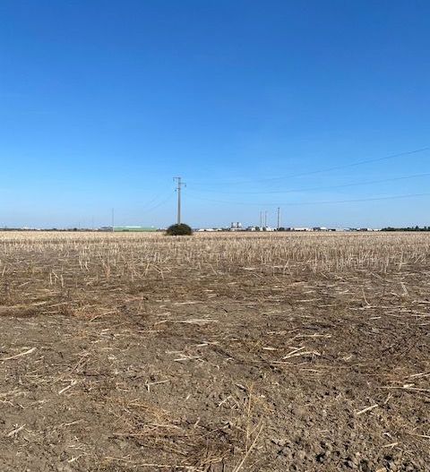 Teren agricol în Zona Sagului - Poză 11