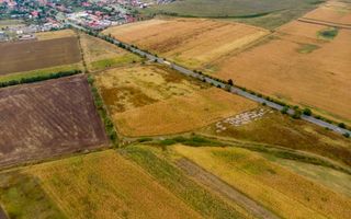 Teren de 19798mp în Zimandu Nou - Poză 12