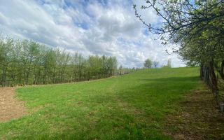 Parcele de teren intravilan cu un view superb-Tocile-Sibiu - Poză 4