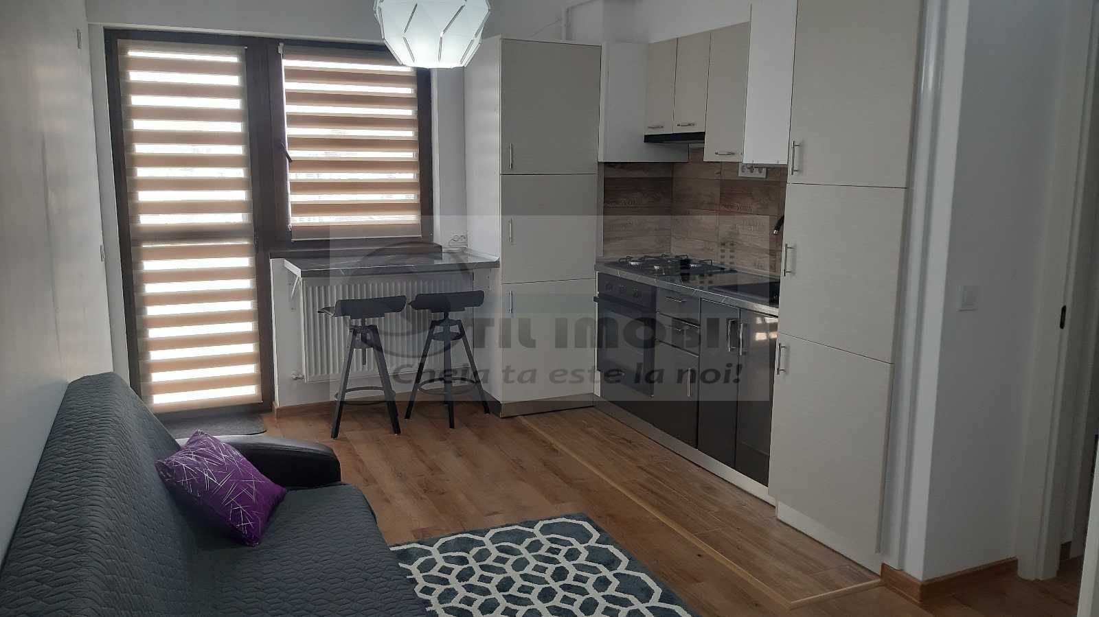 Apartament 2 Camere Open Space – Complex Bucium Confort - Poză 3