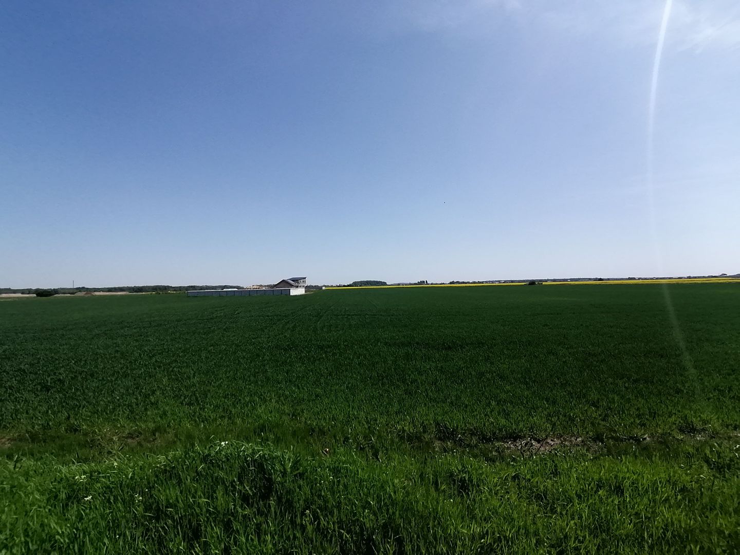 Teren intravilan 9313 mp in comuna 1 Decembrie - Ilfov - Poză 2