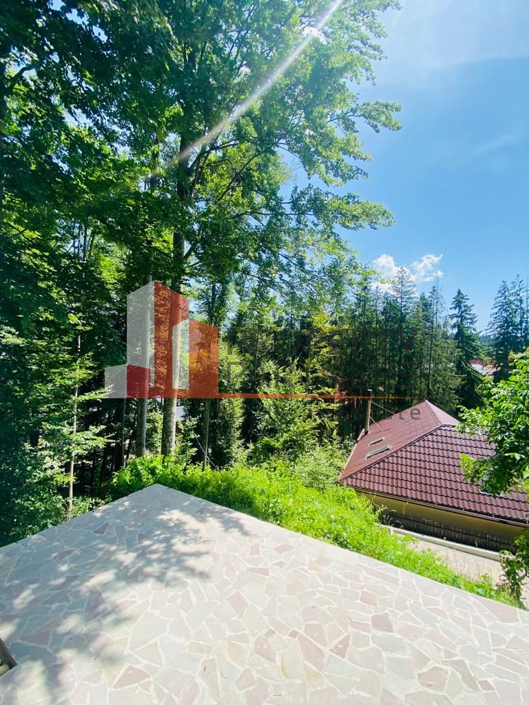 Vila Sinaia - Poză 13