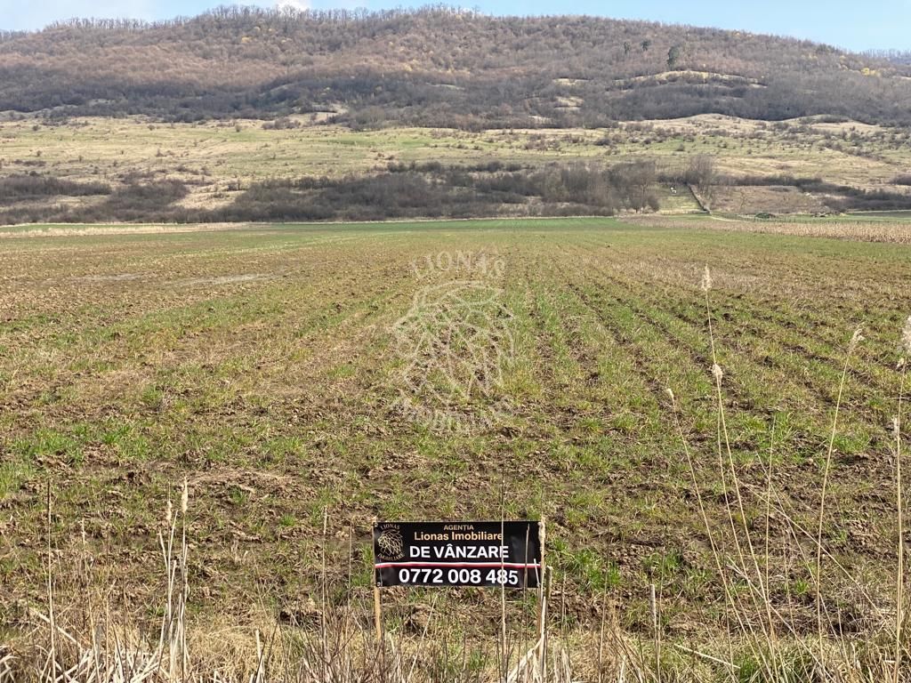 Teren Intravilan-3750mp- zona in plina dezvoltare-Podirei - Poză 2