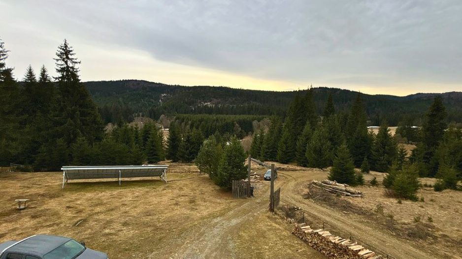 Vilă cu 10 camere P+2E+M 400 M² utili 2800 M² Teren Comandau - Poză 2