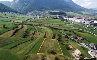 Teren de Vanzare Zarnesti | Utilitati | 3.698mp - Poză 1