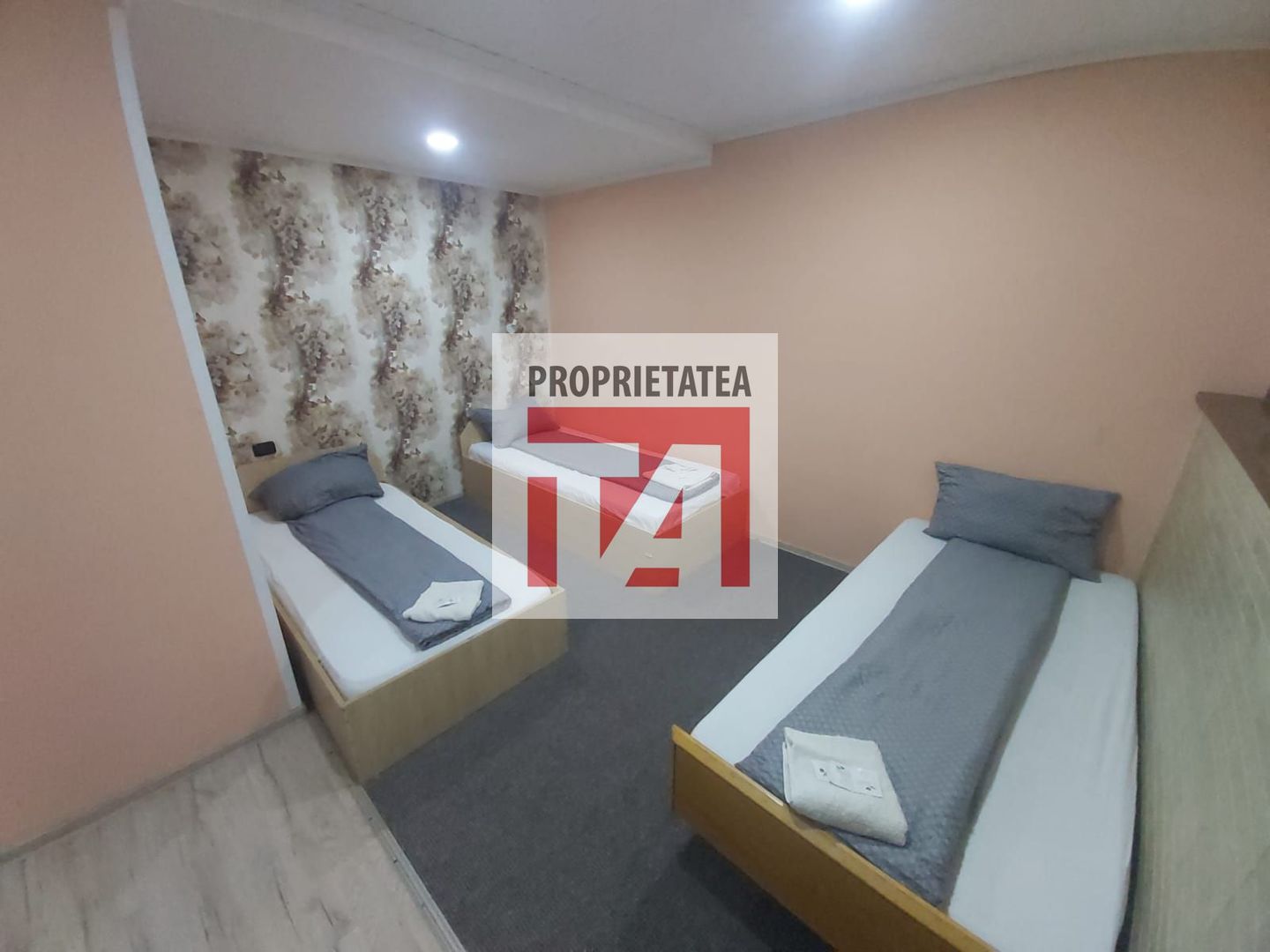 PENSIUNE DE VANZARE – VRAJA CRASNEI ÎN ZONA CAREI - Poză 11