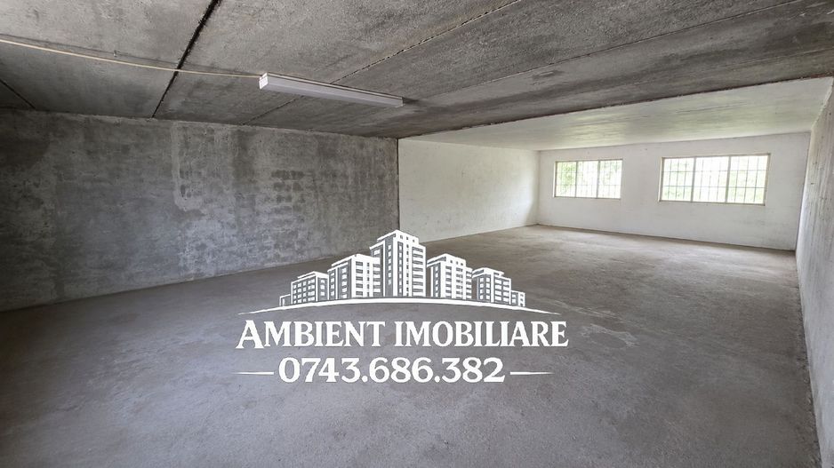 HALĂ DEPOZITARE sau ATELIER, teren 310 mp, VASLUI - zona Industrială; - Poză 6