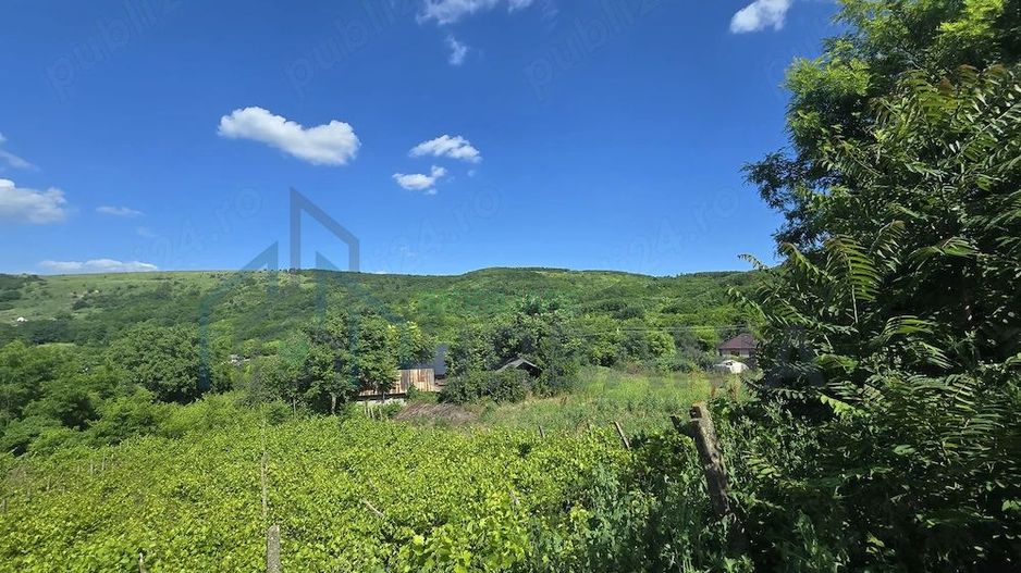 Ansamblu rezidențial cu două case și teren de 1,4 hectare, Bohotin - Poză 3