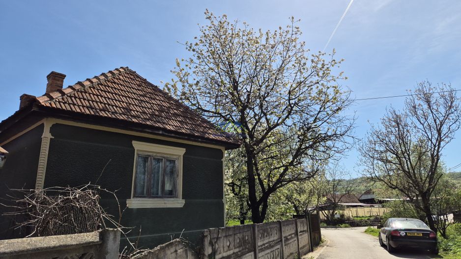 Vand casa 2 camere, 90mp, Silvasul de Jos, teren 1295, deschidere 62m - Poză 4