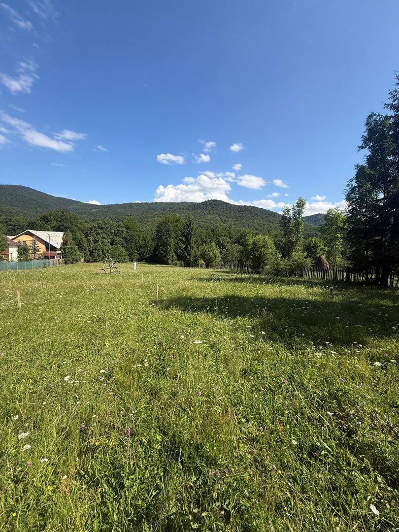 Teren intravilan 1662 mp pozitie superba-Calea Brasovului Valea Neagra - Poză 10