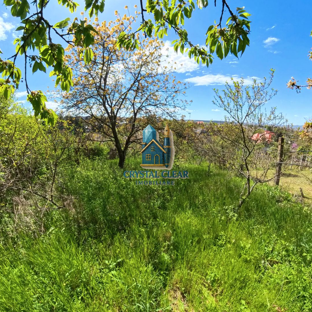 Casă 2 camere + teren 1700 mp - zona Platoul Cornești, str. Trebely - Poză 23