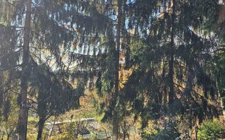 Casa P+M, zona linistita cu panorama- Tautii de Sus !!! - Poză 17