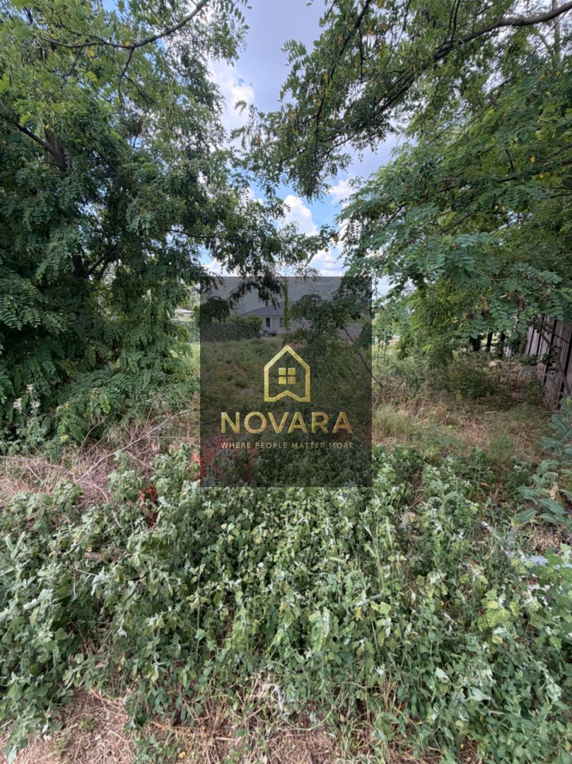 Teren intravilan 550mp de vanzare in Paleu - Poză 6