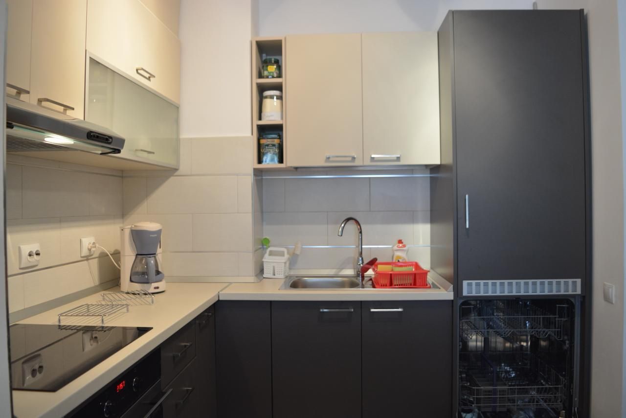 Apartament de închiriat | Platinia Mall | UMF | USAMV - Poză 6