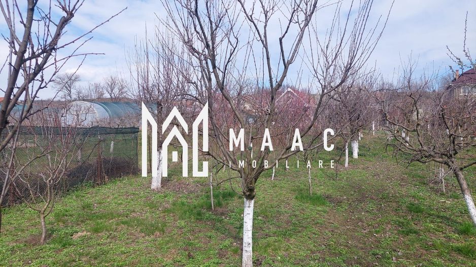 Casa individuala 3 camere I Teren 1600mp I Acces auto I Aiud - Poză 10