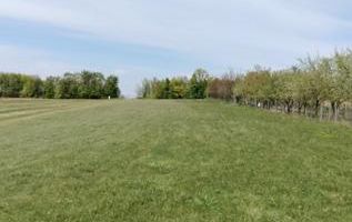 Teren extravilan 7.200 mp, Bordea - Grajduri, oportunitate investiție - Poză 14