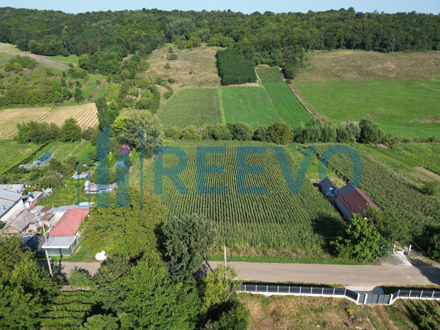 Teren intravilan de vânzare, Sat Bogdănști, Com. Traian - Poză 6