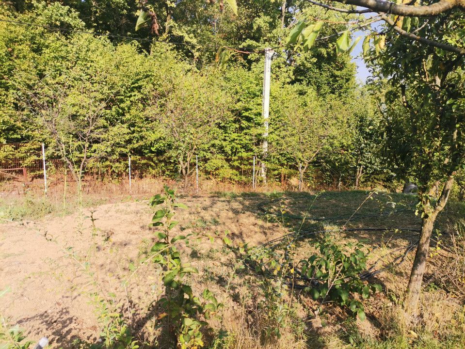 Vanzare teren intravilan Pitesti, strada Zamfiresti - Poză 2