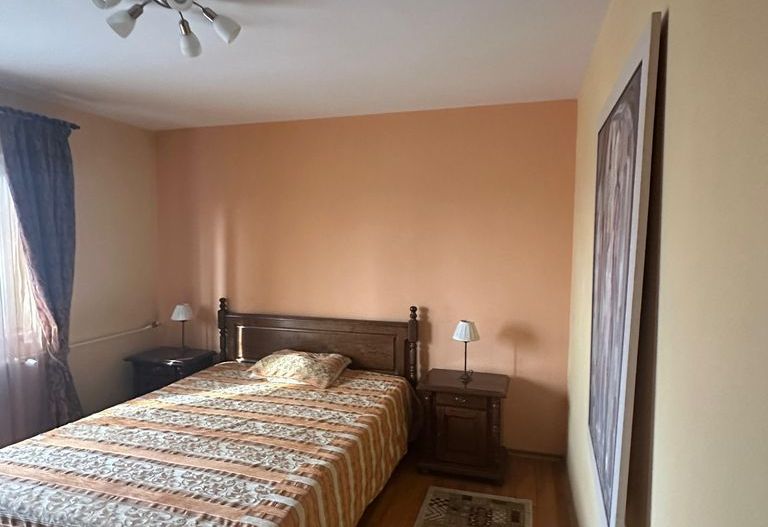 Apartament spațios 2 camere, vedere Delea Nouă – Theodor Speranția - Poză 12