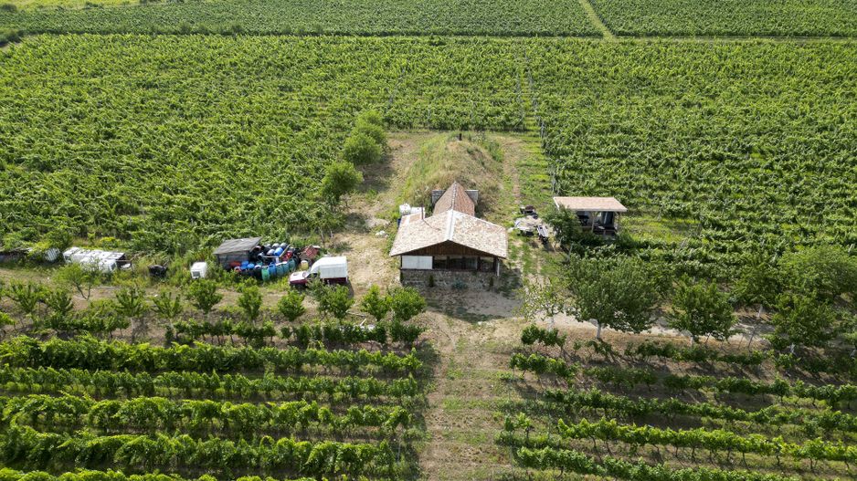 Vie Tradițională „Halta Lupilor” - Poză 36