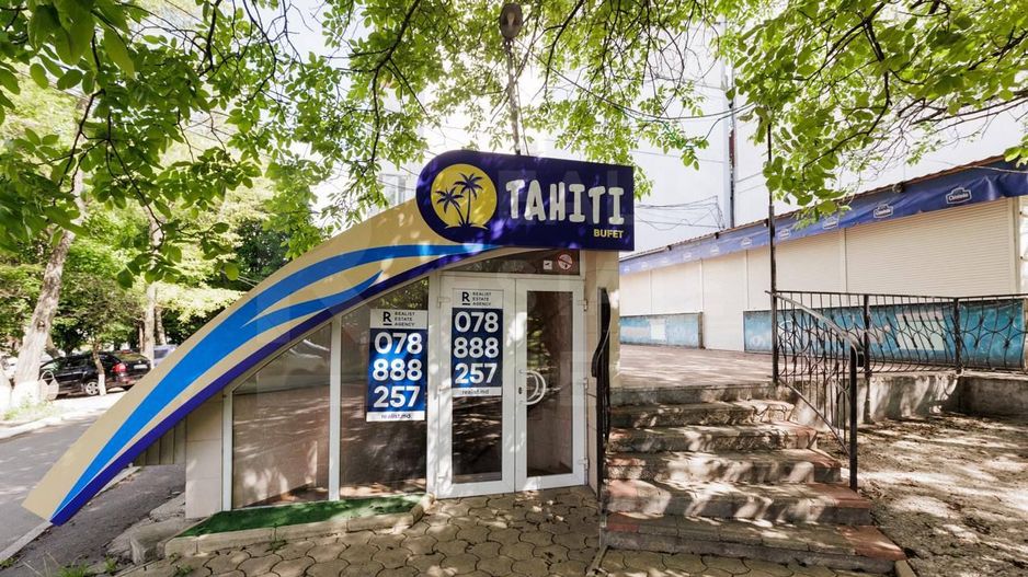 Vânzare, spațiu comercial, 256 mp + 2.8 ari, Liviu Deleanu, Buiucani - Poză 12