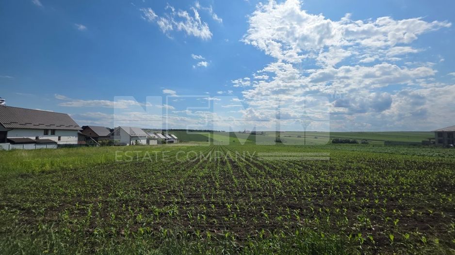 Teren intravilan 5.000 mp | Sfântul Ilie – UAT Șcheia | 425.000 € - Poză 1