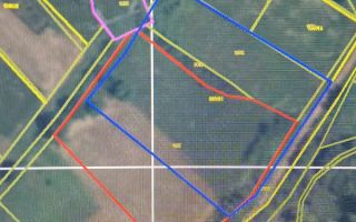 Teren Intravilan |5.000 MPU | Șura-Mare | - Poză 10