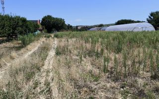 Teren intravilan Biharia 11058 mp - Poză 1