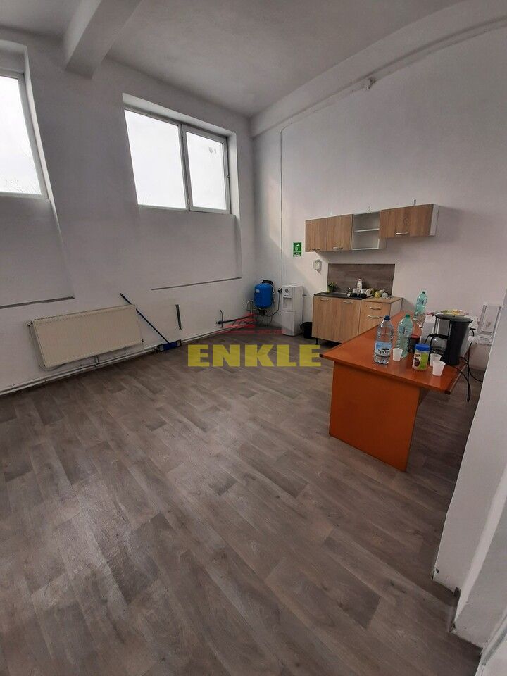 Hala in suprafata de 480 mp + teren 2400 mp, Catamaresti Deal, 160000 euro - Poză 3