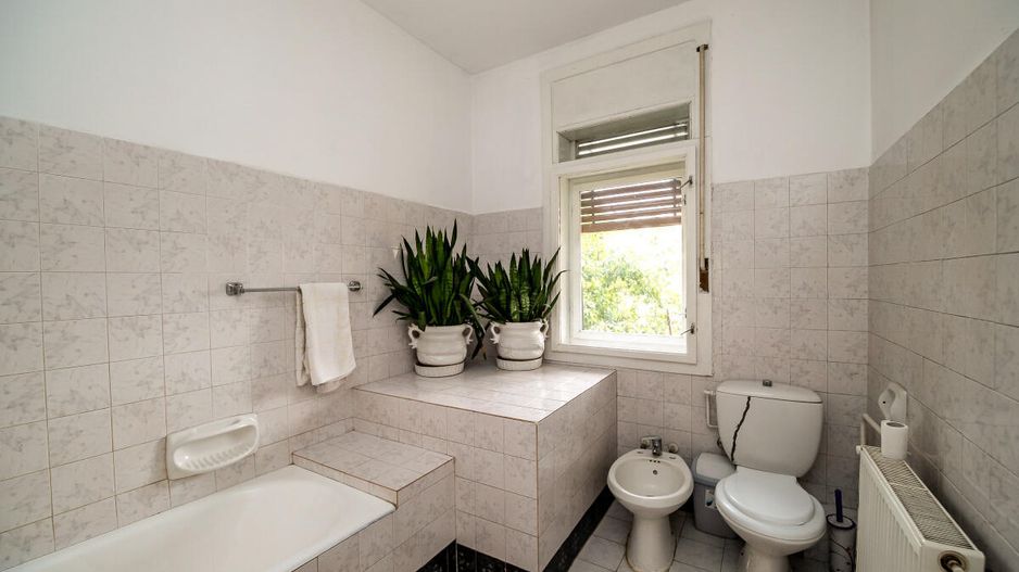 Freidorf - Vila Multifunctionala - D+P+1, 380 mp utili! - Poză 7
