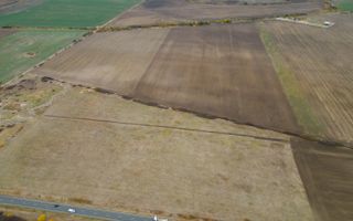 Teren 22.500 mp–Pecica, jud. Arad,Posibilitate PUZ - Poză 7