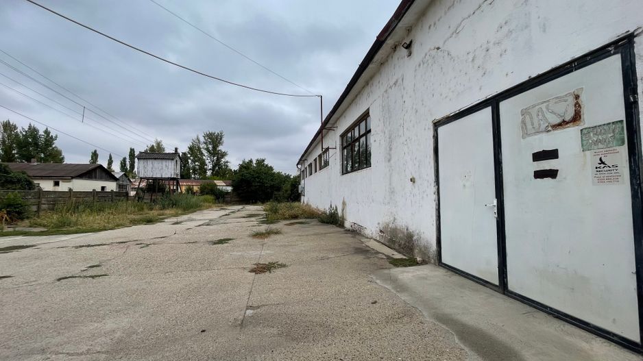 Hala de închiriat cu birouri, Salonta - Poză 3