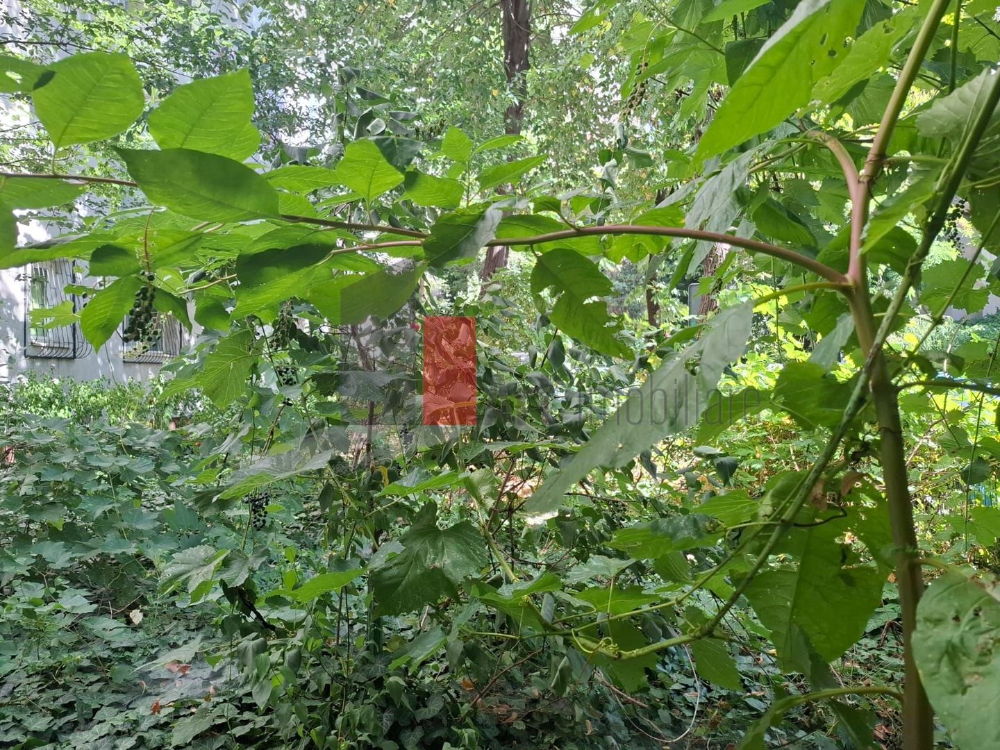 Apartament Piata Victoriei-Titulescu - Poză 9