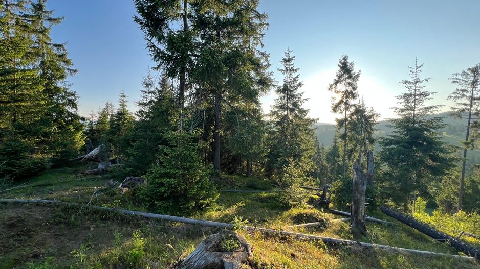 50 hectare teren | Moldova-Sulita | Potential turistic si agricol - Poză 13