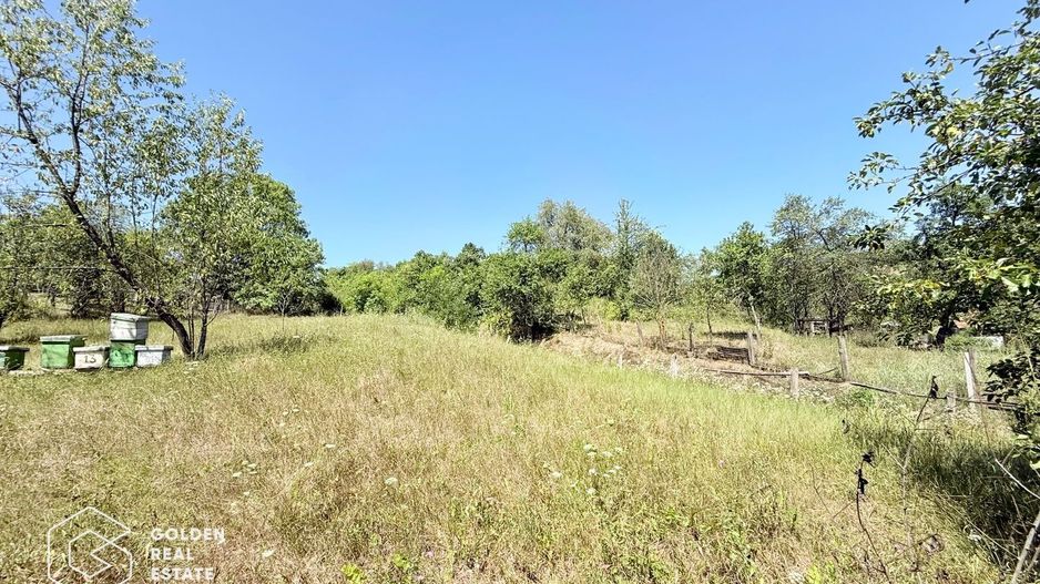 Casa 3 camere, sat Nicolae Balcescu, comision 0% - Poză 28