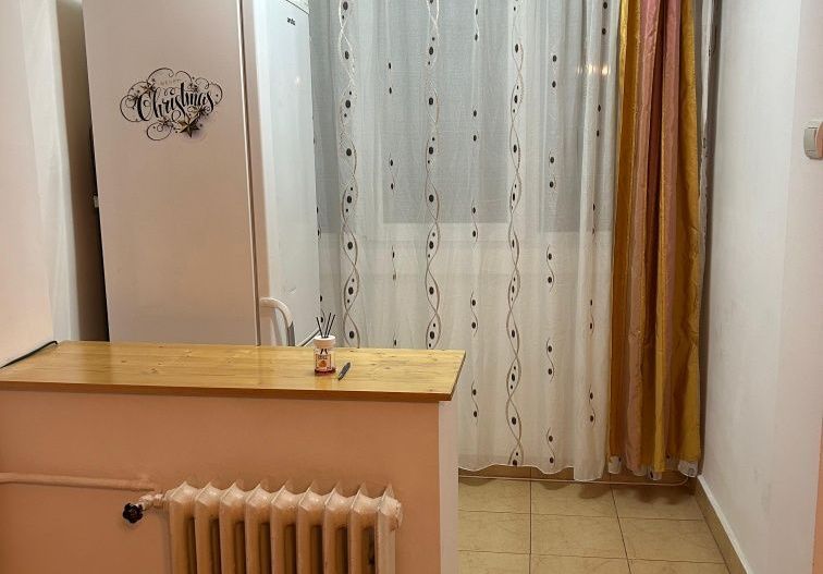 GARSONIERA IN BRAZDA LUI NOVAC - Poză 2