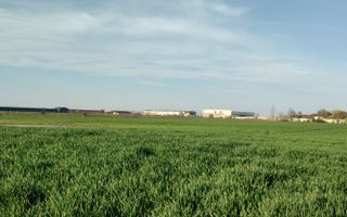 Pret minim!  teren de 1000 m2 în Balotești - Poză 3