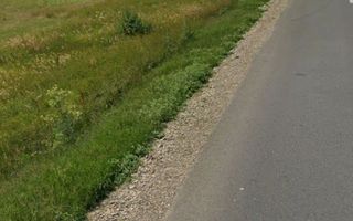 Teren extravilan de 29.300 mp, deschidere 41 m la E58, pe directia Iasi, intre Podul Iloaei si Letcani - Poză 2