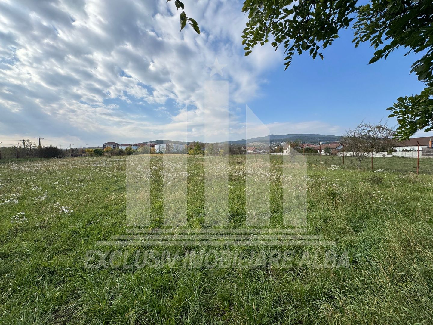 Teren intravilan de vanzare, Cetate - Poză 3